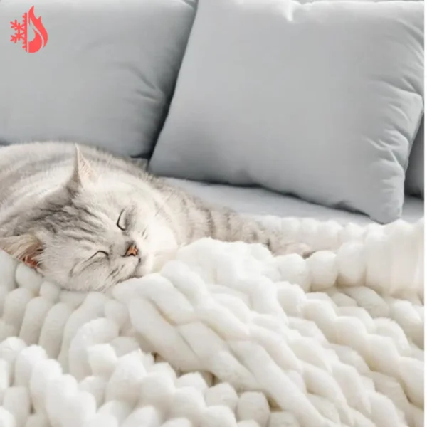 CozyWrap® - Viral Tiktok Blanket